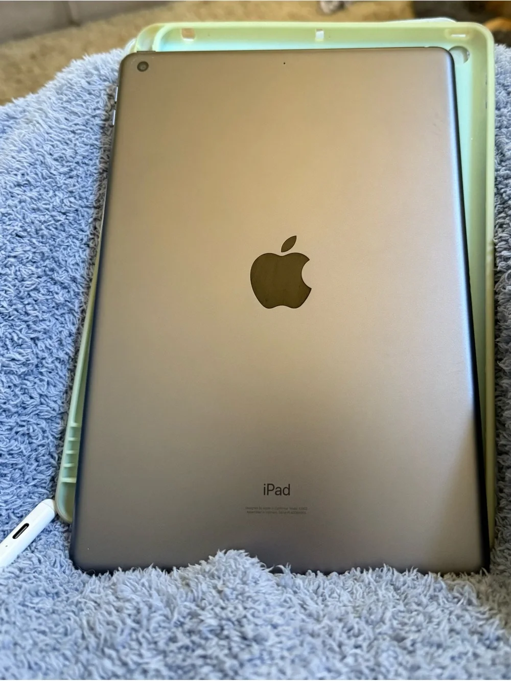 9th Gen Apple iPad — Metallic Gray Back with Black Apple logo